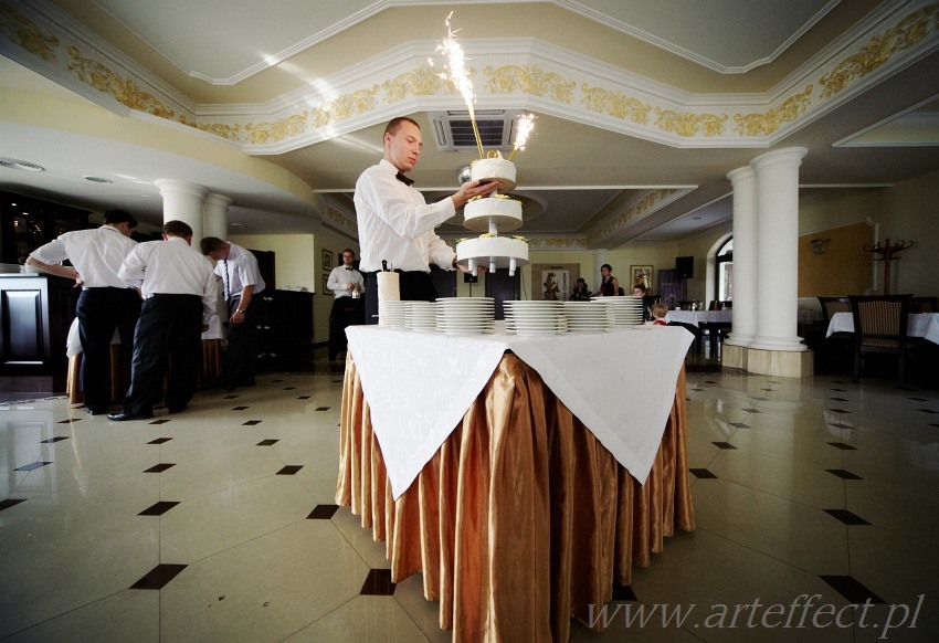 fotografia ślubna Ruda śląska zdjęcia ślubne wesele restauracja Biały Dom Paniówki