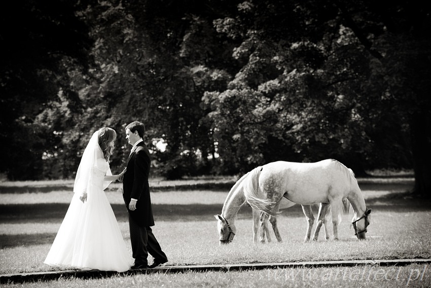 Fotografia ślubna Zawiercie Fotograf Zawiercie zdjęcia ślubne