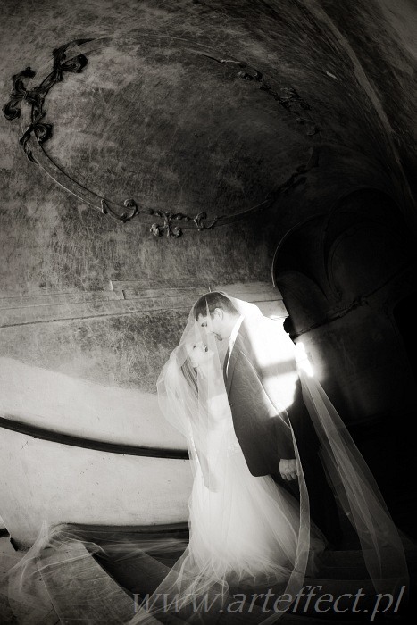 zdjęcia ślubne sesja plener w pałacu fotograf Katowice