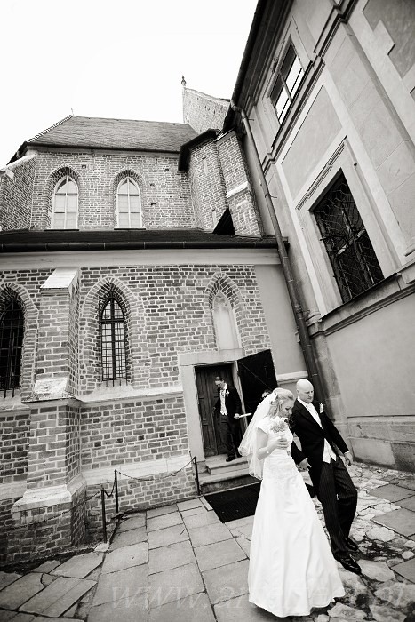 fotografia ślubna Niepołomice małopolska fotograf wieliczka Folwark Zalesie