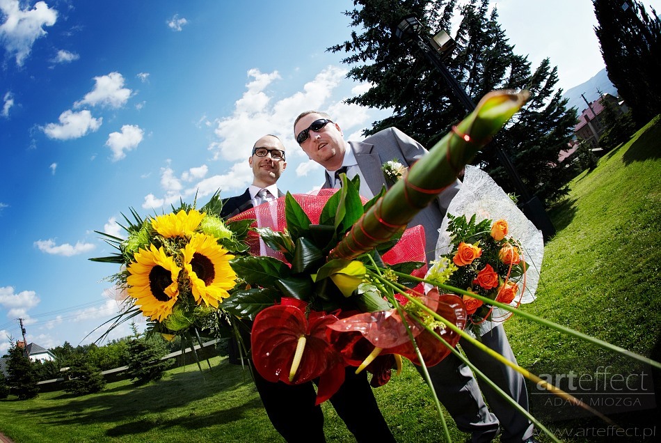 zdjęcia ślubne wesele Papuga Papuga Park Hotel Bielko-Biała fotograf ślubny Bielsko-Biała